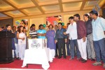 Nenu Nanna Abaddam Movie Audio Release - 8 of 38