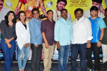 Nenu Nanna Naa Boyfriends Trailer Launch - 15 of 42