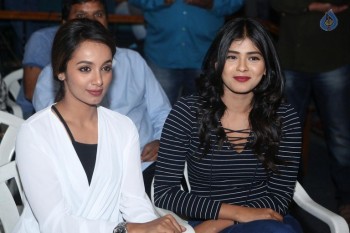 Nenu Nanna Naa Boyfriends Trailer Launch - 30 of 42