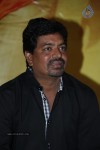 Nenu Nene Ramune Movie Audio Launch - 29 of 86