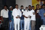 Nenu Nene Ramune Movie Audio Launch - 43 of 86