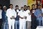 Nenu Nene Ramune Movie Audio Launch - 86 of 86