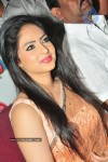 Nikesha Patel At RS Brothers 11th Anniversary Celebrations - 33 of 44