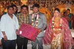 Nikhil Sister Sonali Wedding - 14 of 27