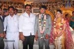Nikhil Sister Sonali Wedding - 15 of 27