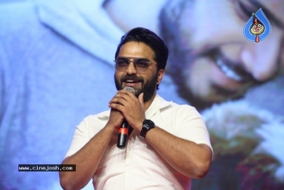 Ninu Veedani Needanu Nene Movie Pre Release Event Last Set - 24 of 63