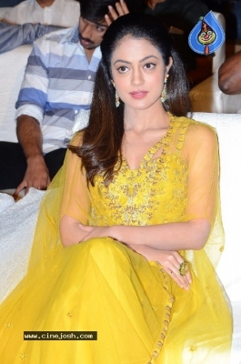 Ninu Veedani Needanu Nene Movie Pre Release Event Last Set - 28 of 63