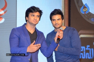 Ninu Veedani Needanu Nene Movie Pre Release Event Last Set - 33 of 63