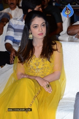 Ninu Veedani Needanu Nene Movie Pre Release Event Last Set - 36 of 63