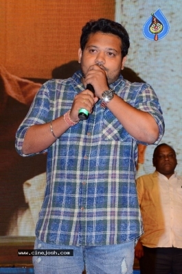 Ninu Veedani Needanu Nene Movie Pre Release Event Last Set - 16 of 63