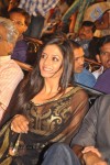 Nuvva Nena Movie Audio Launch - 142 of 204