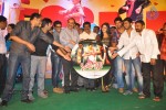 Nuvva Nena Movie Audio Launch - 22 of 204