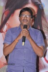 Nuvve Naa Bangaram Movie 1st Look Launch - 71 of 87