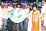 Nuvvu Nenu Okatavudaam Audio Launch 02 - 52 of 116
