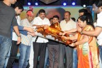 Nuvvu Nenu Okatavudaam Audio Launch 02 - 81 of 116
