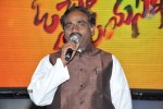 Oh Cheliya Naa Priya Sakhiya Audio Launch - 38 of 110