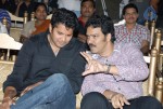 Oh My Friend Movie Triple Platinum Disc Function  - 119 of 134