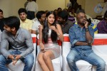 Oka Laila Kosam Success Meet - 15 of 226