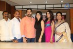 Oka Villain Prema Katha Press Meet - 36 of 101