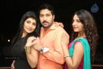 Oka Villain Prema Katha Press Meet - 38 of 101