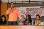 Oka Villain Prema Katha Press Meet - 86 of 101