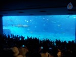Okinawa Press Meet and Locations - 39 of 67