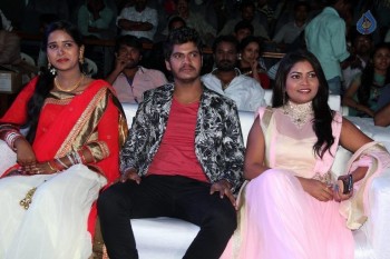 Okkaditho Modalaindi Audio Launch Photos - 3 of 14