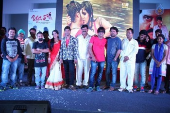 Okkaditho Modalaindi Audio Launch Photos - 4 of 14