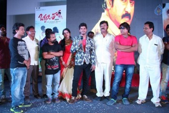 Okkaditho Modalaindi Audio Launch Photos - 8 of 14