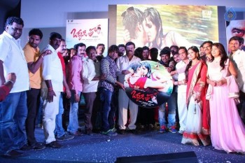 Okkaditho Modalaindi Audio Launch Photos - 11 of 14