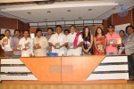 Okkasari Premisthe Audio Launch - 25 of 77