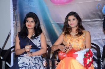 Plus One Movie Audio Launch Photos - 20 of 42
