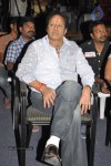 Oo Kodatara Ulikki Padatara Movie Announcement - 24 of 96