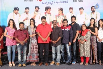 Oollo Pelliki Kukkala Hadavidi Movie Press Meet - 27 of 42