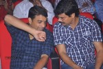 Oosaravelli Movie Audio Launch - 131 of 169