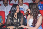 Oosaravelli Movie Audio Launch - 164 of 169