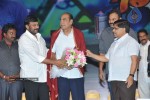 Orange Movie Audio Release Function - 372 of 488