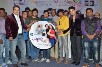 Padamati Sandhya Ragam Audio Launch - 8 of 28