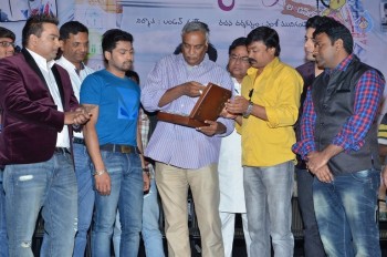 Padamati Sandhya Ragam Audio Launch - 22 of 28