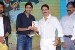 Paddanandi Premalo Mari Audio Launch - 11 of 120