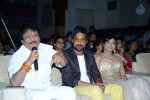 Paddanandi Premalo Mari Audio Launch - 24 of 120