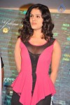 Paisa Movie Logo Launch - 51 of 90