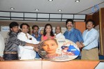 Pallavi Tho Charan Movie Audio Launch - 12 of 41