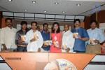 Pallavi Tho Charan Movie Audio Launch - 35 of 41