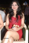 Pallu Tamil Movie Audio Launch - 9 of 54