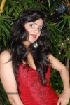 Pallu Tamil Movie Audio Launch - 10 of 54