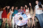 Pallu Tamil Movie Audio Launch - 13 of 54