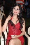 Pallu Tamil Movie Audio Launch - 15 of 54