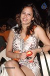 Pallu Tamil Movie Audio Launch - 16 of 54
