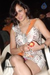 Pallu Tamil Movie Audio Launch - 22 of 54